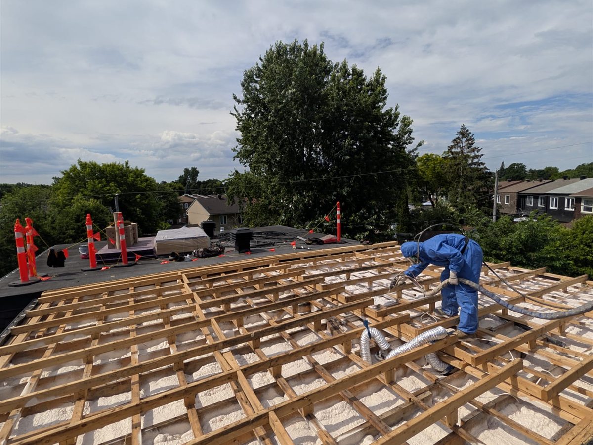Nouvelle structure de bois montée après démolition
